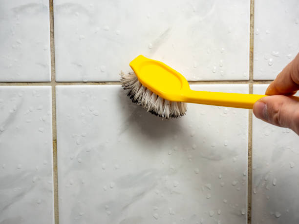 Best Residential Mold Remediation in Scanlon, MN